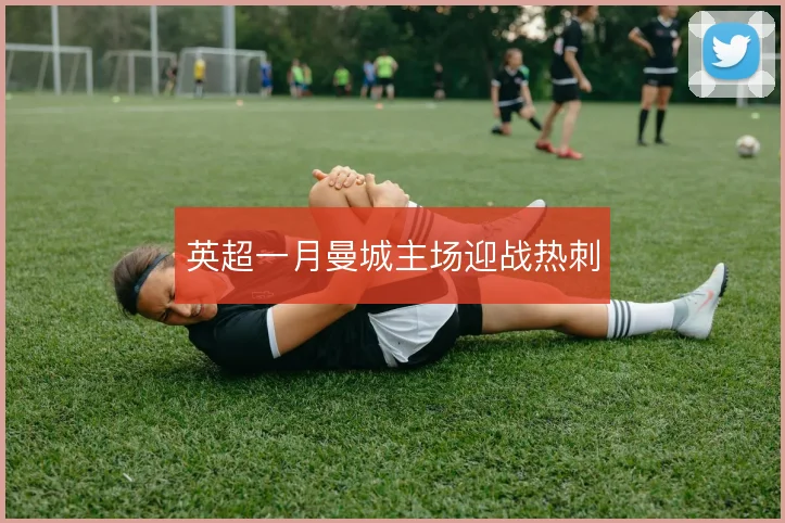 英超一月曼城主场迎战热刺